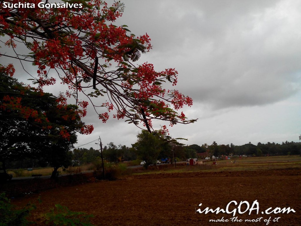 monsoon in Goa cloudy weather