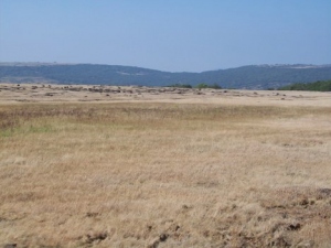 mopa plain land